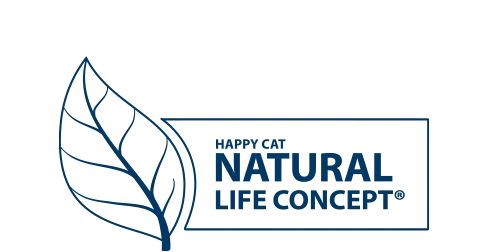 Tree leaf with labeling nature concept