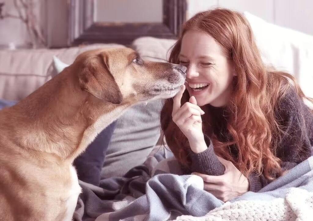 نبذة عن الشركة