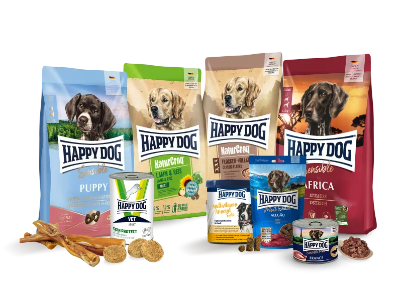 نبذة عن الشركة