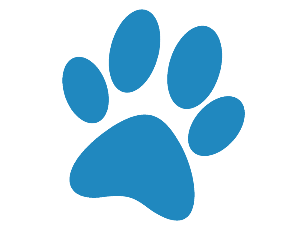 مالتى فيتامين مينرال فورته