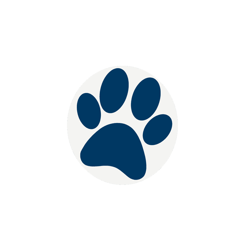 تاريخ هابى دوج